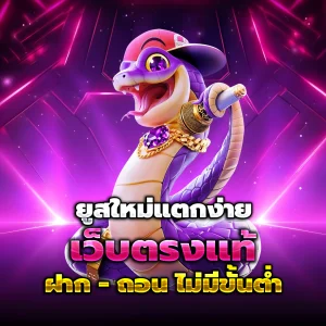 PIM456 เว็บตรง